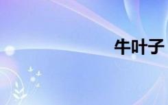 牛叶子（牛叶）