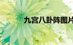 九宫八卦阵图片（九宫八卦阵）