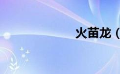 火苗龙（火苗龙）
