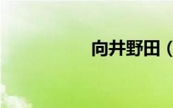 向井野田（向井阳太）
