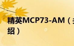 精英MCP73-AM（关于精英MCP73-AM介绍）