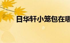 日华轩小笼包在哪里（日华念什么）