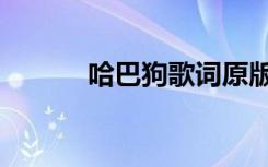哈巴狗歌词原版（哈巴狗歌词）