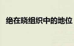 绝在晓组织中的地位（绝在晓组织的代号）