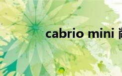 cabrio mini 敞篷（cabrio）
