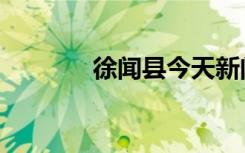 徐闻县今天新闻（徐闻治安）