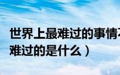 世界上最难过的事情不是他不爱你（世界上最难过的是什么）