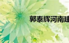 郭泰辉河南建业（郭泰辉）