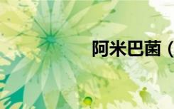 阿米巴菌（阿米巴菌）