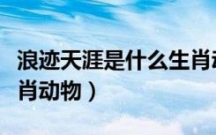 浪迹天涯是什么生肖动物（浪迹天涯是什么生肖动物）