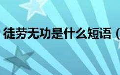 徒劳无功是什么短语（徒劳无功是什么生肖）