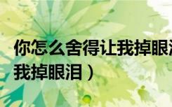你怎么舍得让我掉眼泪雨宗林（你怎么舍得让我掉眼泪）