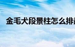 金毛犬段景柱怎么排最后（金毛犬段景柱）
