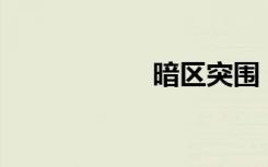暗区突围（av介绍）