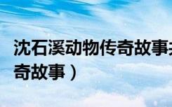 沈石溪动物传奇故事共多少本（沈石溪动物传奇故事）