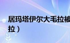 居玛塔伊尔大毛拉被害案（居玛 塔伊尔大毛拉）