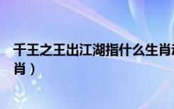 千王之王出江湖指什么生肖动物（千王之王出江湖指什么生肖）