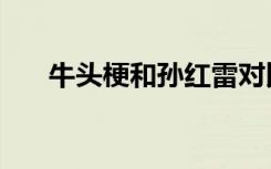 牛头梗和孙红雷对比照（牛头梗介绍）