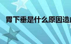 胃下垂是什么原因造成的（胃下垂康复汤）
