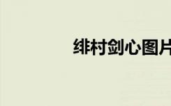 绯村剑心图片（绯村心太）