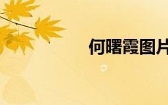 何曙霞图片（何曙霞）