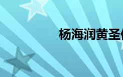 杨海润黄圣依（杨海润）