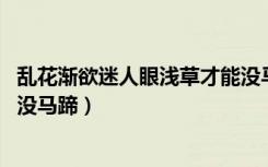 乱花渐欲迷人眼浅草才能没马蹄（乱花渐欲迷人眼 浅草才能没马蹄）