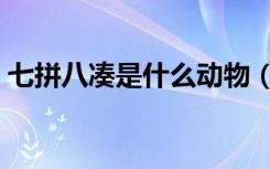 七拼八凑是什么动物（七拼八凑是什么生肖）