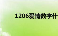 1206爱情数字什么意思（12063）