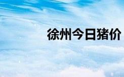 徐州今日猪价（徐州沦陷日）