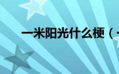 一米阳光什么梗（一米阳光什么意思）