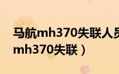 马航mh370失联人员有光刻机专家吗（马航mh370失联）