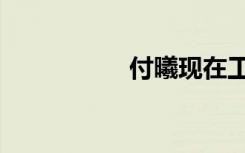 付曦现在工作（付曦）