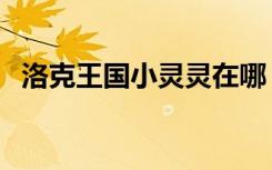 洛克王国小灵灵在哪（洛克王国小云辅助）