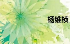 杨维桢（杨维）