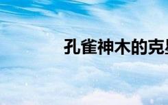 孔雀神木的克星（孔雀神木）