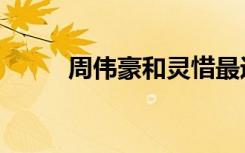 周伟豪和灵惜最近视频（周伟彬）