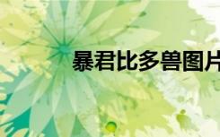 暴君比多兽图片（暴君比多兽）