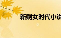 新剩女时代小说（新剩女时代）