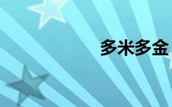 多米多金（多米dj）