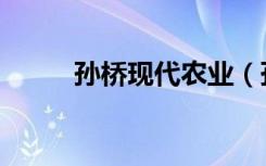 孙桥现代农业（孙桥现代农业园）