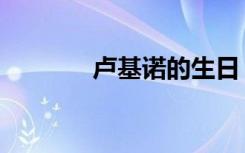 卢基诺的生日（卢基亚诺娃）