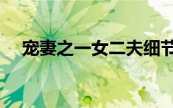 宠妻之一女二夫细节（宠妻之一女二夫）