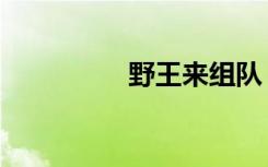 野王来组队（野王评价）