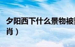 夕阳西下什么景物被染红了（夕阳西下什么生肖）