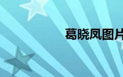葛晓凤图片（葛晓凤）
