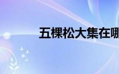 五棵松大集在哪（五棵松大集）