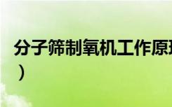 分子筛制氧机工作原理动画演示（分子筛效应）