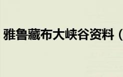 雅鲁藏布大峡谷资料（雅鲁藏布大峡谷资料）