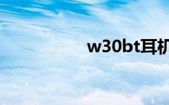 w30bt耳机（w308r）